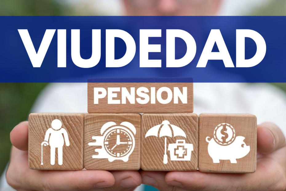 pension viudedaz y orfandaz