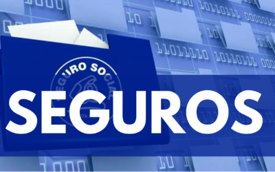 seguro ins